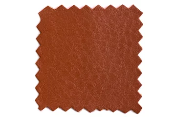 Fotobehang Shred of factory leather for the manufacture of accessories and various products Isolated on a white background. Cut brown leather sample for familiarization and sewing of upholstered furniture. © Anton
