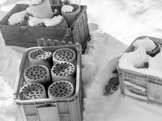 Winter of korea