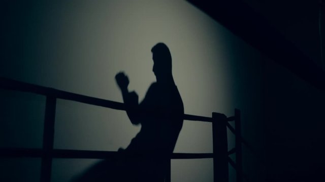 Boxer's shadow on a wall during training.