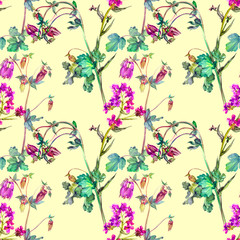 Watercolor meadow flowers, columbine and hesperis of violet coloring. Summer seamless pattern. Design of fabric, wallpaper, background, textile, packaging, wrapping paper, covers.