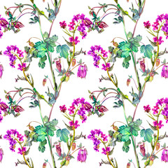 Watercolor meadow flowers, columbine and hesperis of violet coloring. Summer seamless pattern. Design of fabric, wallpaper, background, textile, packaging, wrapping paper, covers.