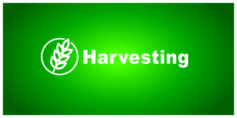 Harvest logo on a green background.
