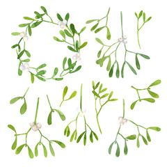 Mistletoe watercolor christmas decor. Sprigs and leaves with berries. Sketch plants