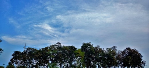 Obraz premium BEAUTY OF NATURE