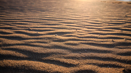 sand dunes in the morning