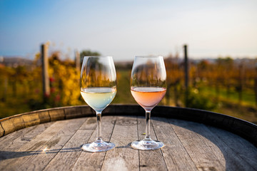 glasses of wine on a barrel in autumn