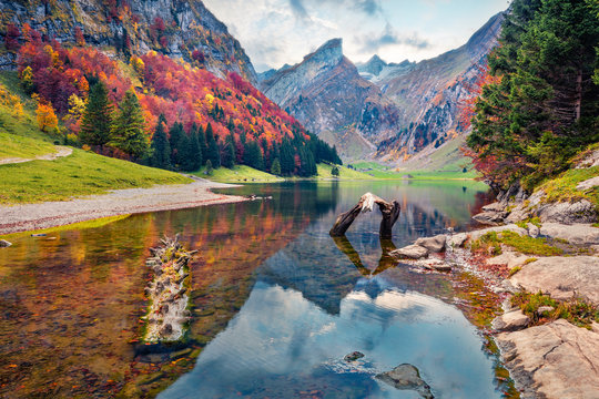 Colorful morning view of Seealpsee lake. Magnificent autumn scene of Swiss Alps. Majestic Santis peak reflected in the calm surface of pure water lake, Switzerland, Europe.