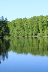 Fototapeta na wymiar Pond shore in a city forest park
