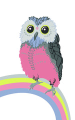 Pink owl