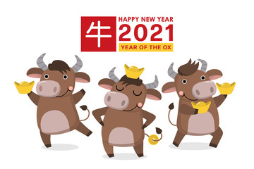 Happy Chinese new year greeting card. 2021 Ox zodiac. Cute cow and gold money. Animal holidays cartoon character. Translate: Ox. -Vector