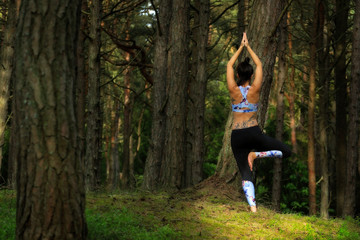 Yoga and meditation in the forest