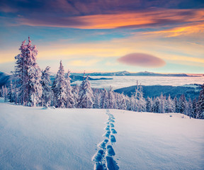 Obraz premium Foggy winter sunrise in the snowy mountain