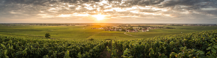 panorama of Vosne Romanee, Bourgogne, France