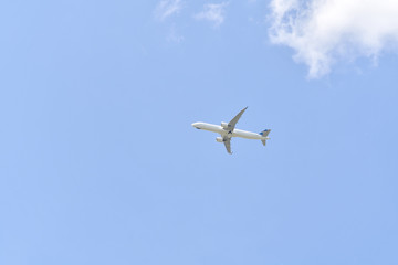 Fototapeta na wymiar airplane, flight, travel, sky, airplane in the sky, airplane in the clear sky