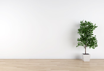 Large luxury modern minimal bright interiors room mockup illustration 3D rendering