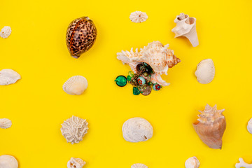 Beautiful necklaces are laid with shells. Costume jewelry is perfectly harmonises with yellow...