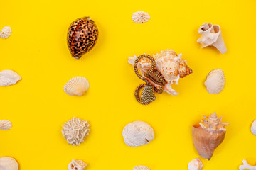 Beautiful necklaces are laid with shells. Costume jewelry is perfectly harmonises with yellow...