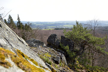 Fototapeta na wymiar Nationalpark Hunsrück-Hochwald, Mörschieder Burr