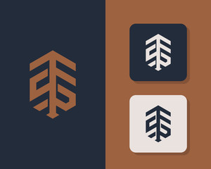 Letter T S logo design. creative minimal monochrome monogram symbol. Universal elegant vector emblem. Premium business logotype. Graphic alphabet symbol for corporate identity