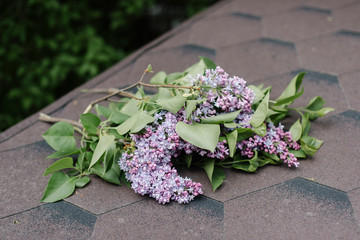 a bouquet of lilac on the roof