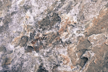 Gray stone vintage background in grunge style.