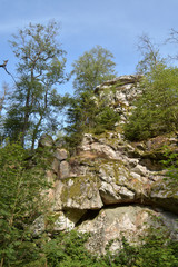 Nationalpark Hunsr&uuml;ck-Hochwald, M&ouml;rschieder Burr