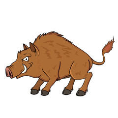 wild boar with an evil eye. vector isolated on white background. stock illustration