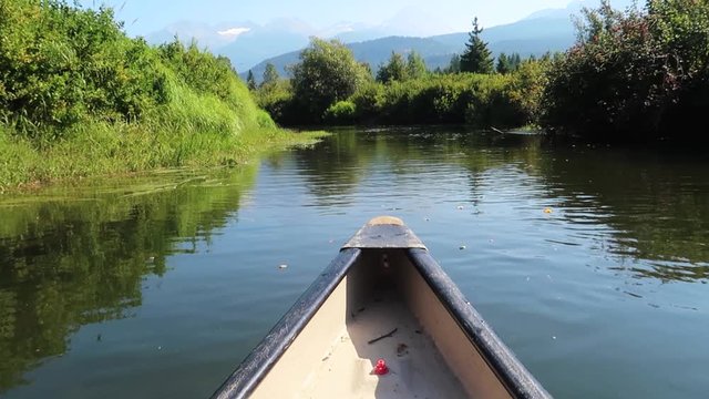 Peaceful landscape, as tilting up the camera at a front of a boat, from the water to the shore, trees and mountains. 