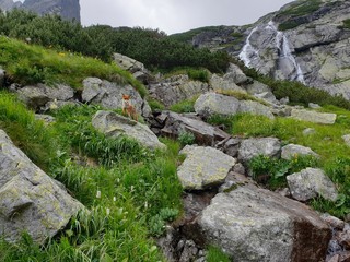 Fototapeta na wymiar Stone wall in the mountains