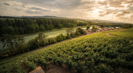 Clos de Goisses in Mareuil sur Ay