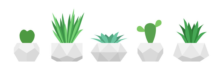 Flowers in trendy geometric pots. Vector set of succulent plants. Home gardening