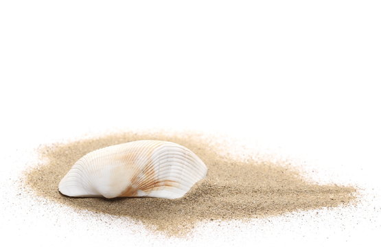 Sand pile with seashell isolated on white background