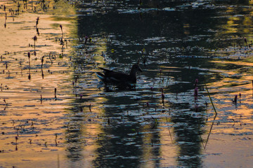 grunge texture background