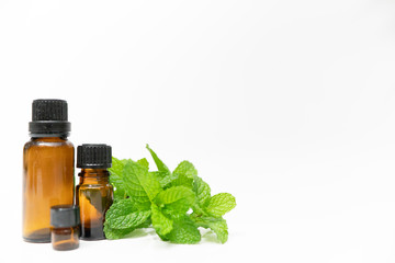 peppermint essential oil aroma therapy pure herb oil leaf dropper bottle with white background and copy space and mint plants