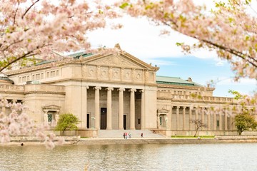 Beautiful Museum of Science and Industry captured through the blossomed trees in Chicago, USA