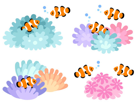 カクレクマノミ Images Browse 1 244 Stock Photos Vectors And Video Adobe Stock