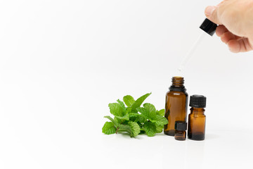 peppermint essential oil aroma therapy pure herb oil leaf dropper bottle with white background and copy space dropper and hand