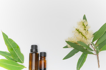 Fototapeta premium eucalyptus essential oil aroma aromatherapy with gum leaves white flowers white background and copy space 