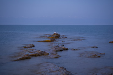 Fototapeta premium OLYMPUS DIGITAL CAMERA