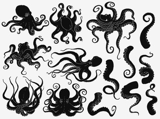 Black octopus silhouette set isolated on white background © sabelskaya