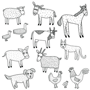 Collection set of hand drawn farm animals isolated on white background. Goat, sheep, donkey, horse, cow, pig, goose, rooster, chicken. Doodle style. Vector stock illustration.