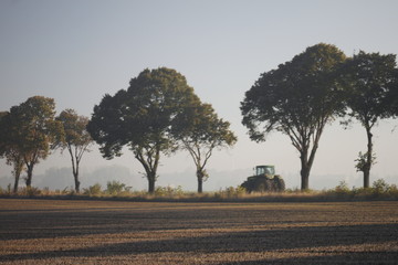 Tractor on the crops in the morning © Ruchacz