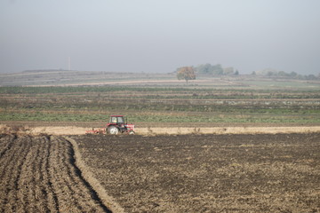 Tractor on the crops in the morning © Ruchacz