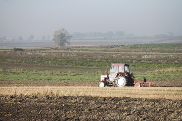 Tractor on the crops in the morning © Ruchacz