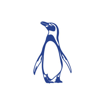 Penguin bird logo design vector. Icon Symbol. Template Illustration