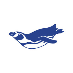 Penguin bird logo design vector. Icon Symbol. Template Illustration