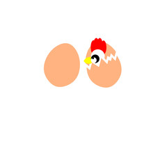 chicken and eggs on white