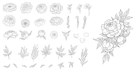 Big set of peony flowers and leaves for making tattoo compositions. Black linear illustration isolated on a white background.