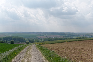 Fototapeta na wymiar Sentier agricole vers la commune de Monchy-Cayeux dans le Pas-de-Calais - France