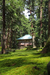 苔のある寺